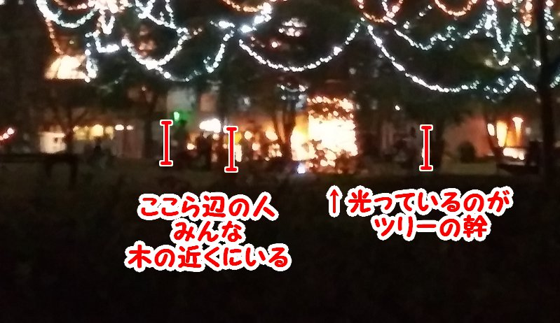 建物の外からクリスマスツリーを見る2023美しが丘公園03