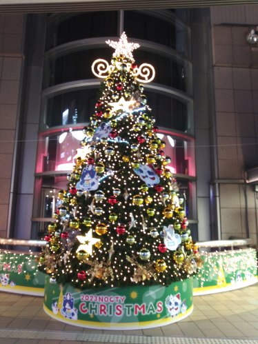 建物の外からクリスマスツリーを見る2023ノクティ1ツリー01