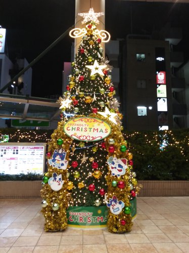 建物の外からクリスマスツリーを見る2023ノクティ2ツリー01