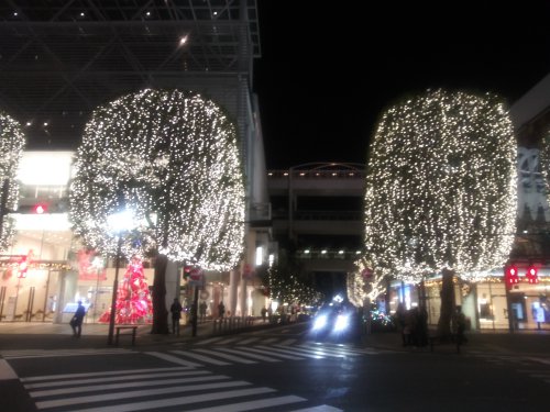 建物の外からクリスマスツリーを見る2023玉川高島屋03