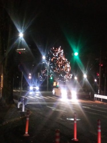 建物の外からクリスマスツリーを見る2023美しが丘公園07