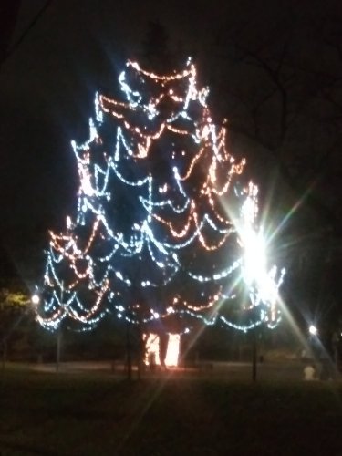 建物の外からクリスマスツリーを見る2023美しが丘公園08