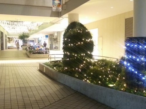 建物の外からクリスマスツリーを見る2023たまプラーザテラス06