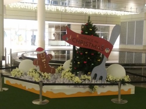 建物の外からクリスマスツリーを見る2023たまプラーザテラス08