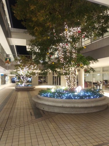 建物の外からクリスマスツリーを見る2023たまプラーザテラス09