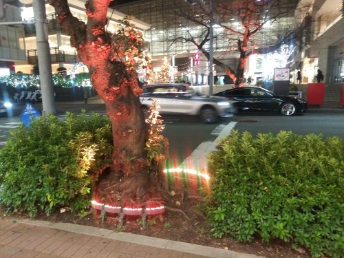 建物の外からクリスマスツリーを見る2023たまプラーザ東急02