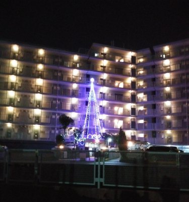 建物の外からクリスマスツリーを見る2023平瀬川沿いマンション02