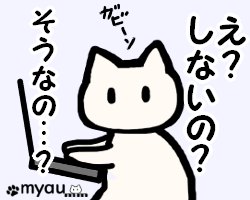 2024012猫正月と猫バンバン01想像しないの？