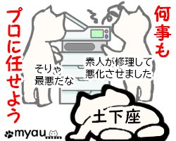 2024012猫正月と猫バンバン04素人は黙っとれ