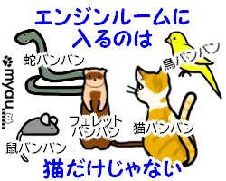 20240102猫正月と猫バンバン08エンジンルームに入るのは猫だけじゃない