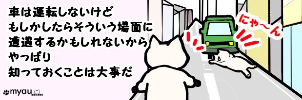 20240102猫正月と猫バンバン05車は持っていないけど知っておくのは大事