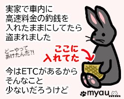 20240102猫正月と猫バンバン11外に置いてある自分の財産にいたずらされる可能性はあります