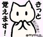 20240102猫正月と猫バンバン12自動車は持ってないけど