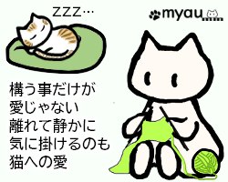 20240102猫正月と猫バンバン13構う事だけが愛じゃない