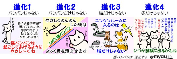 20240102猫正月と猫バンバン14猫バンバンは進化する