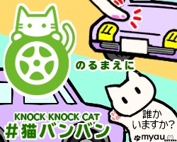 20240102猫正月と猫バンバン15のるまえに#猫バンバン