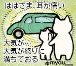 20240102猫正月と猫バンバン17居心地の悪い場所と認識してもらう