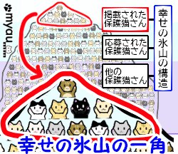 ETM202406猫の惑星　猫の世界征服の日05　幸せの氷山の一角