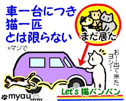 202406猫バンバン03車一台に月猫一匹とは限らないマジで