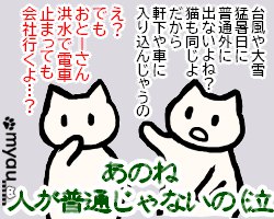 202406猫バンバン05生きるために車の中に入ることもある