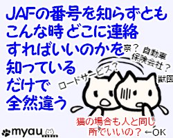 202406猫バンバン07JAFの番号を知らなくてもどこに連絡するか知っているだけでも全然違う