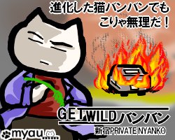 202406猫バンバン08屋外に置いてある車には不慮の事故やいたずらが起こる可能性が