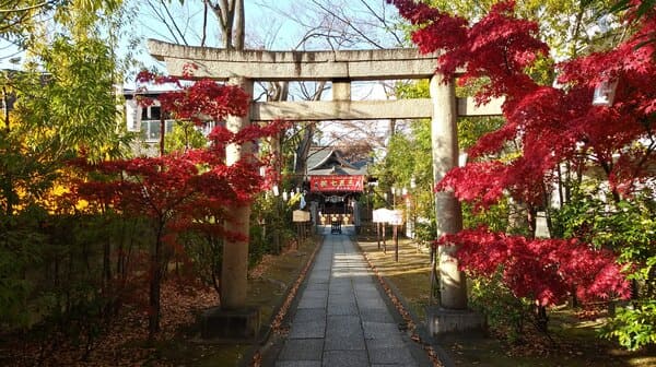 溝口神社参道 大鳥居と拝殿(#13実写OP#40)#13天体戦士サンレッド聖地写真