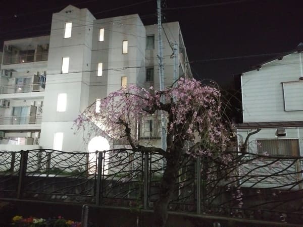 二ヶ領用水A建物(#13実写OP)参考天体戦士サンレッド聖地写真