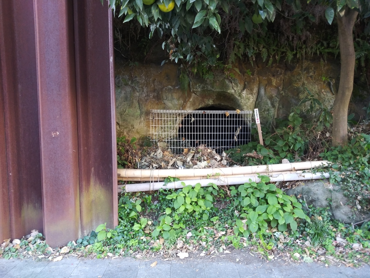 谷風呂センター番外　谷風の崖下の防空壕跡　天体戦士サンレッド聖地写真2