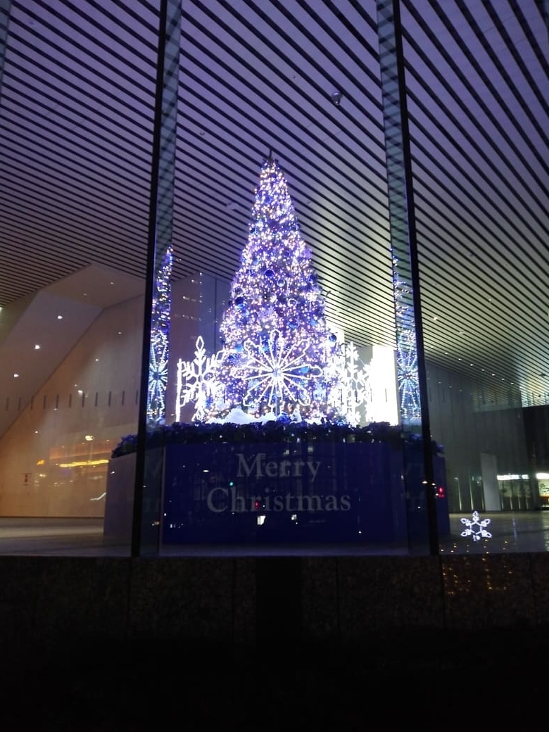 新宿ファーストウエスト　クリスマスイルミネーション2024