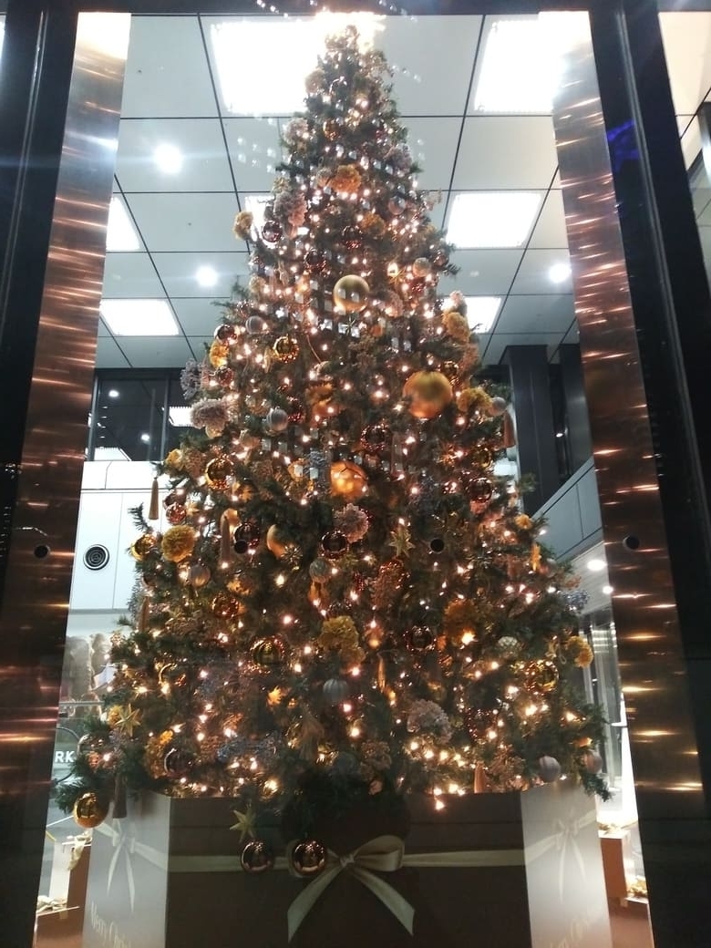 新宿三井ビルディングツリー　クリスマスイルミネーション2024