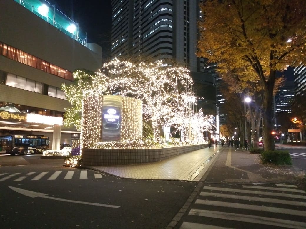 ヒルトン東京1　クリスマスイルミネーション2024