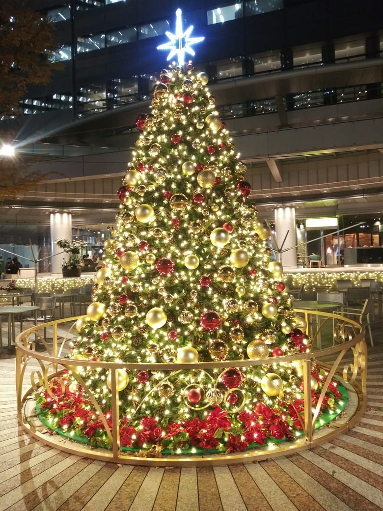 新宿アイランド1　クリスマスイルミネーション2024