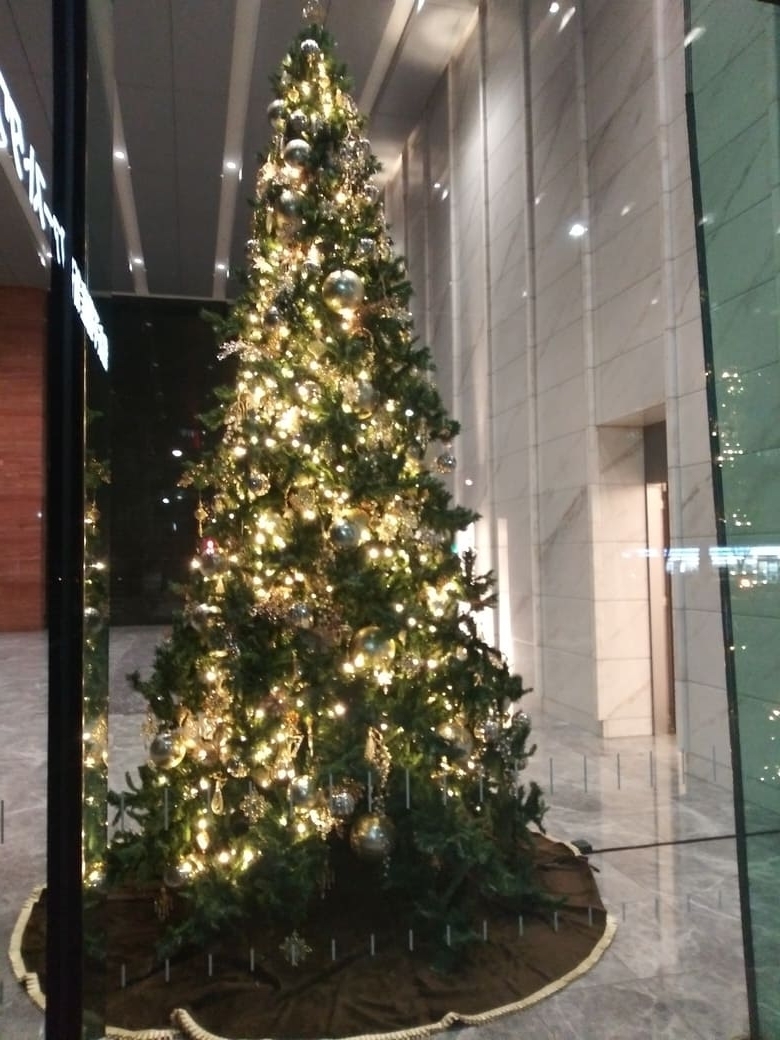 新宿ファーストタワー　クリスマスイルミネーション2024