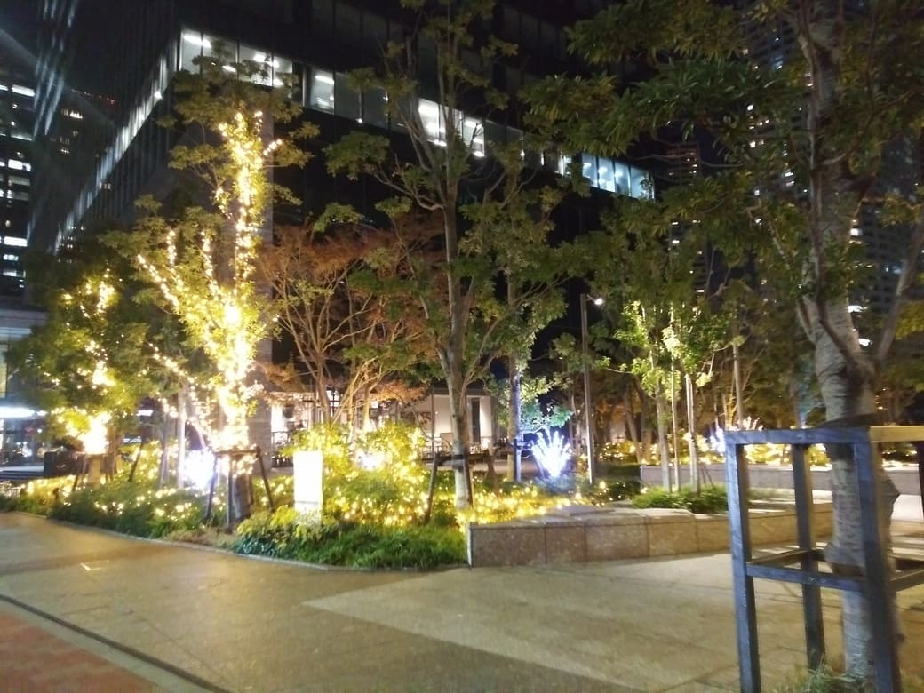 新宿ファーストシティ内公園1　クリスマスイルミネーション2024