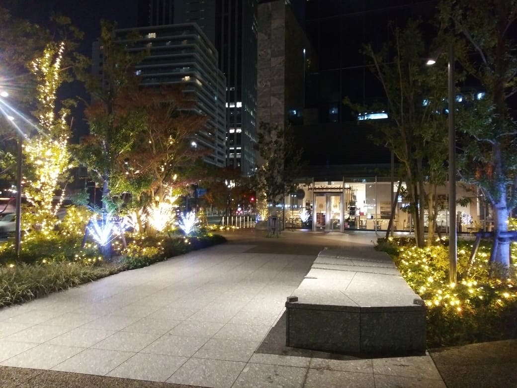 新宿ファーストシティ内公園2　クリスマスイルミネーション2024
