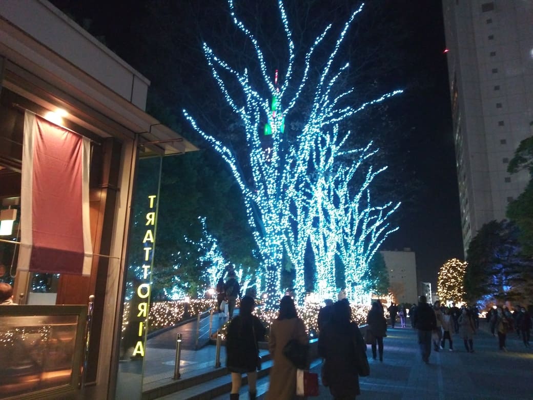 サザンテラス3　クリスマスイルミネーション2024