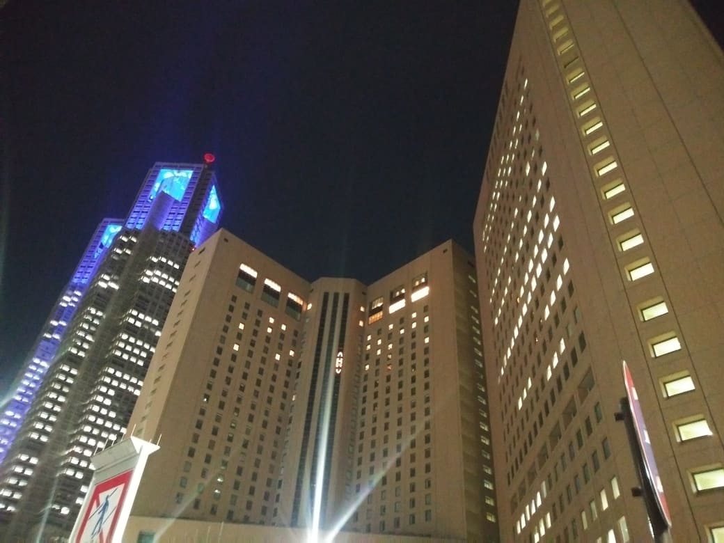 ハイアットリージェンシー東京1　クリスマスイルミネーション2024番外編