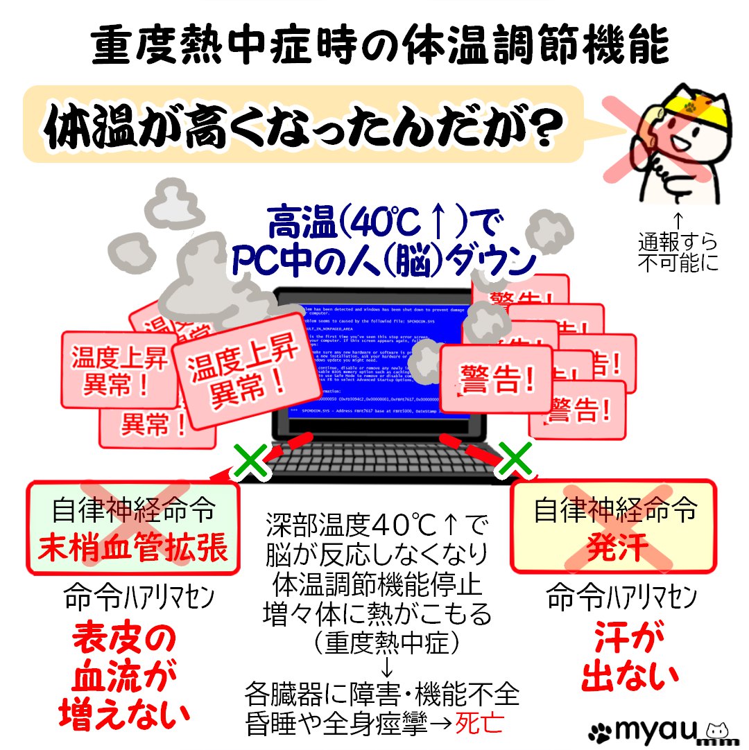 熱中症の予防は睡眠から03重度熱中症時の体温調節機能