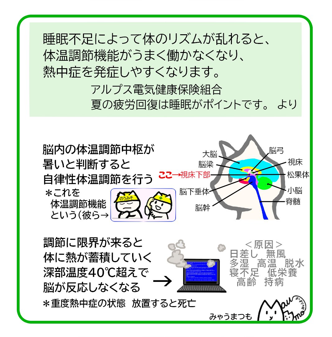 熱中症の予防は睡眠から04睡眠不足と体温調節の関係
