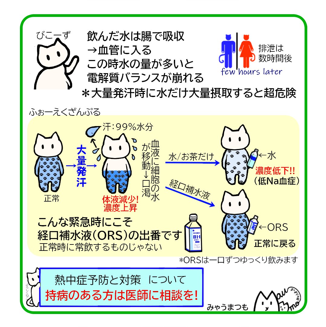 熱中症と脱水症予防はこまめな水分補給から03経口補水液は常飲するものではない