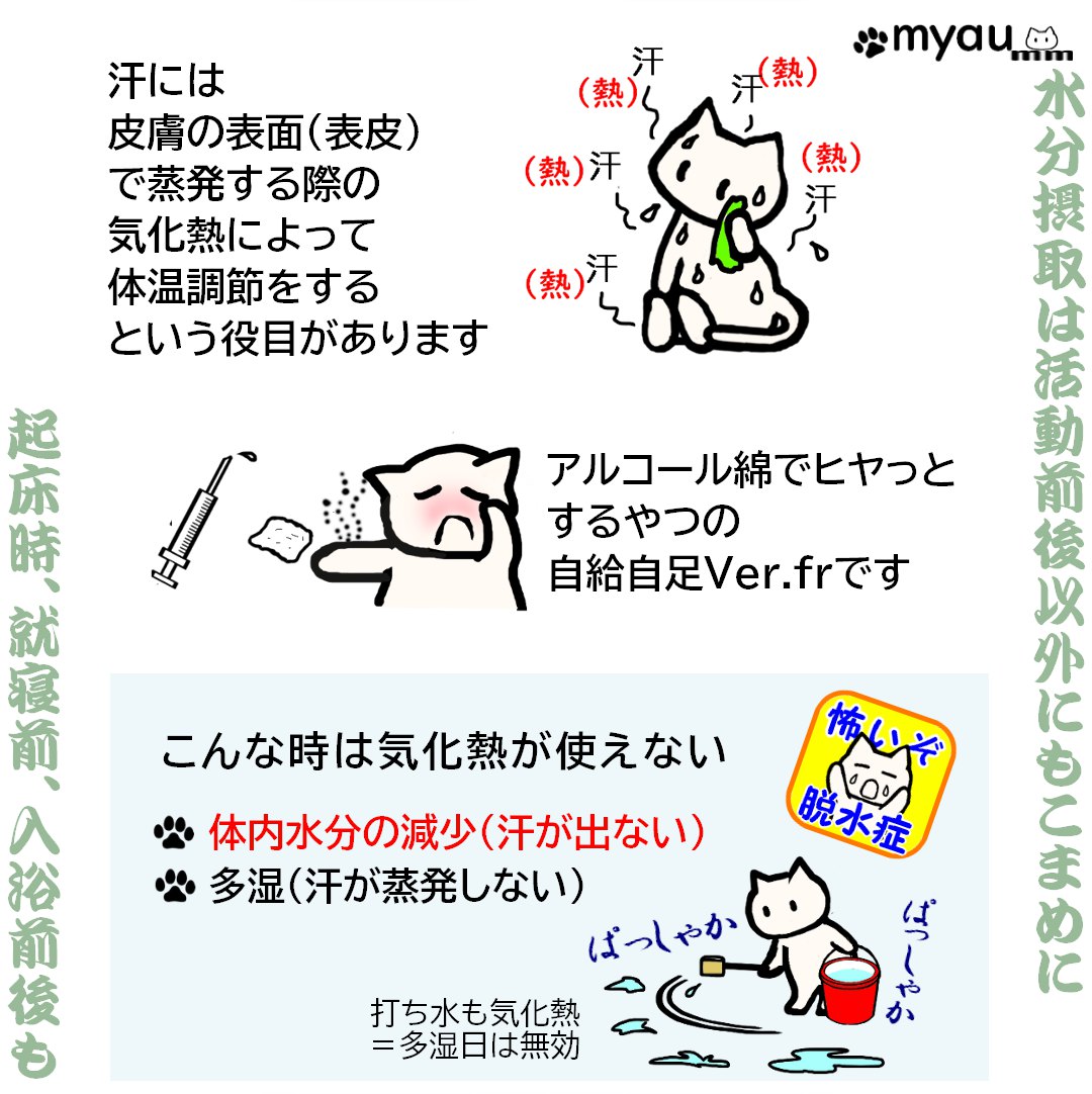 熱中症予防の水分補給は行動前後に02汗で体温が下がる理由とその効果がないのはこんな時