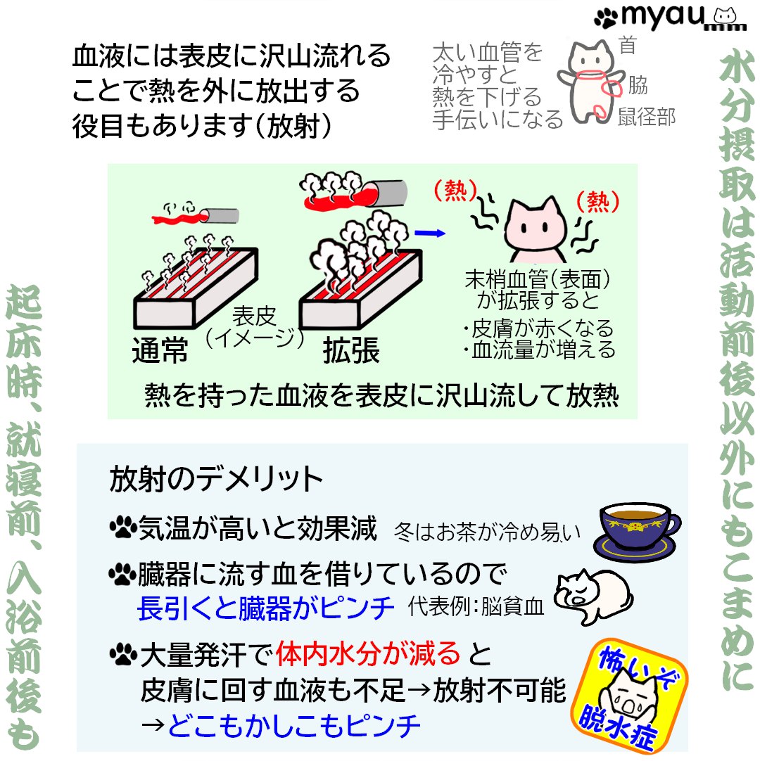 熱中症予防の水分補給は行動前後に03血流で体温が下がる理由とその方法のデメリット