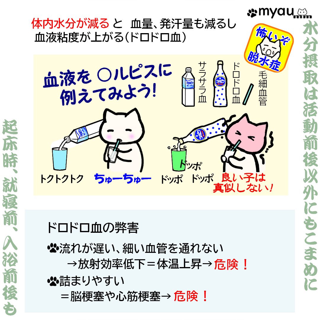 熱中症予防の水分補給は行動前後に04体内水分減少によるドロドロ血の弊害