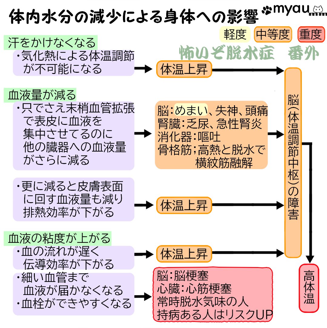 熱中症予防の水分補給は行動前後に06体内水分減少による身体への影響～軽い熱中症～死亡まで