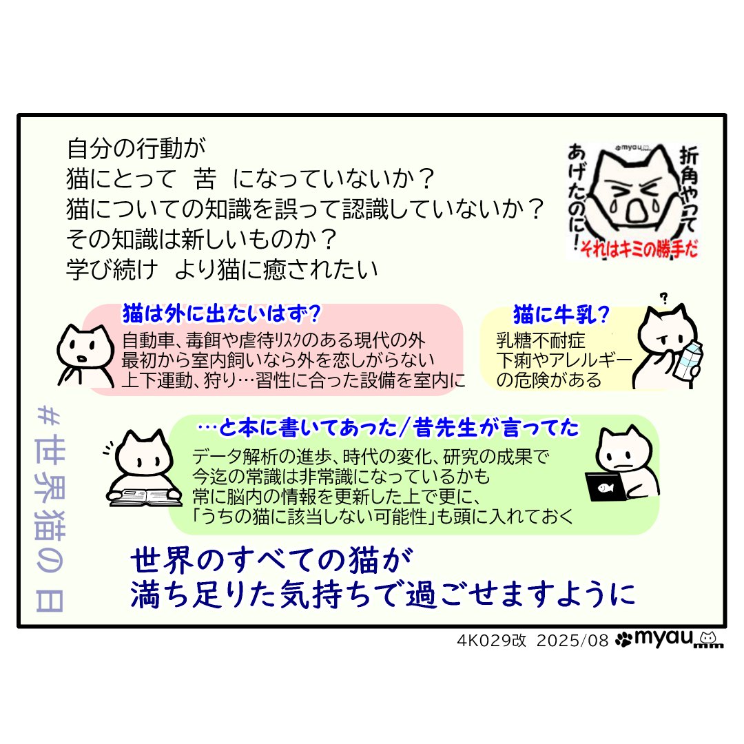 8月8日の世界猫の日は己の気持ちを引き締め直す日02