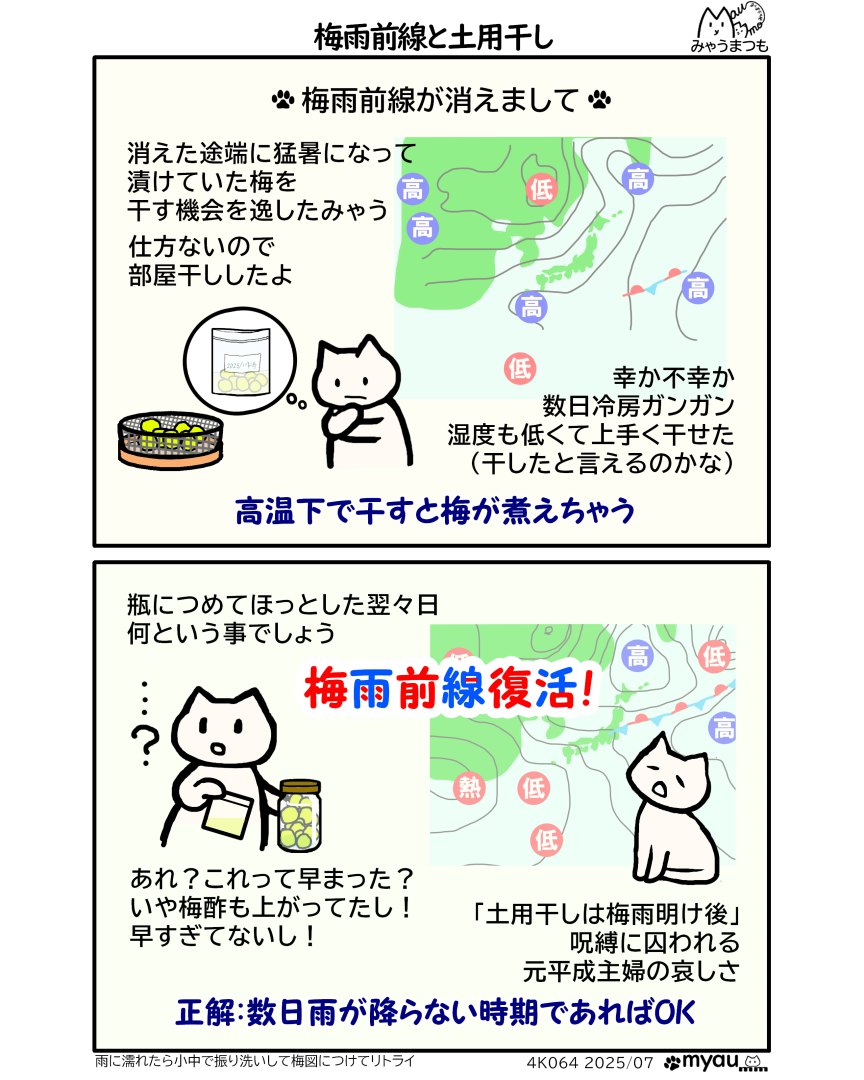 梅雨前線消えたし土用干しをためらううちに気温が上がり梅が煮えちゃうと思って見切りで室内干した途端に前線復活。はやまっだだろうかと悩むみゃうまんが