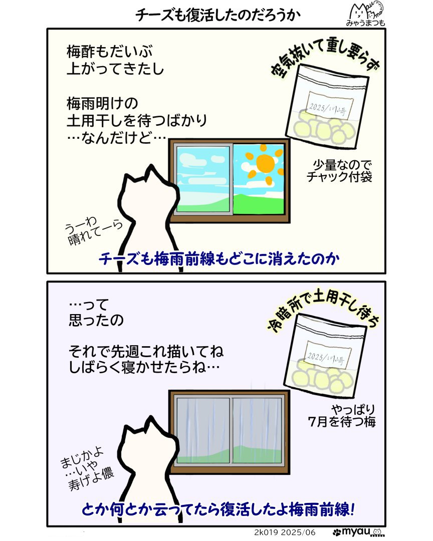 梅雨前線が消えたと六月に報道があったが翌週復活したとのニュース　いきなり降る雨そしてまた高温快晴が続くというみゃうまんが