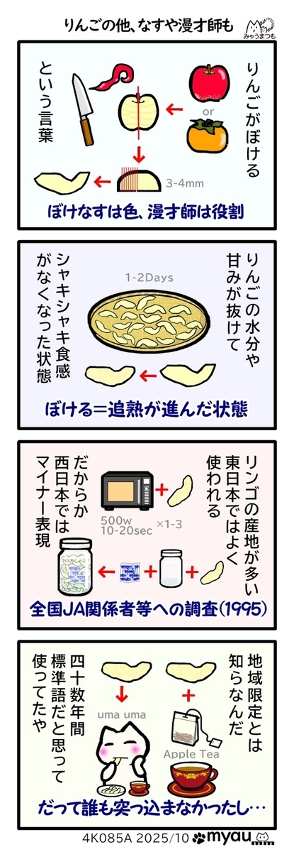 りんごがぼけるという慣用句を標準語だと思っていたがりんごの産地やその近くではよくつかわれるが関西などでは聞かれない言葉だったという文章と、干しりんごのレシピ漫画