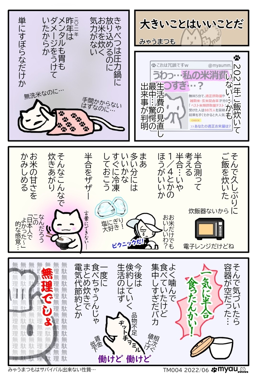 2021年にご飯を炊いていないことに気づいた2022年6月久しぶりに米を買って炊いてみた、冷凍するつもりで1合炊いたがあまりのおいしさに一度で食べてしまった 節約の為に米自炊をしようとしたのに意味がないじゃないかと反省する漫画